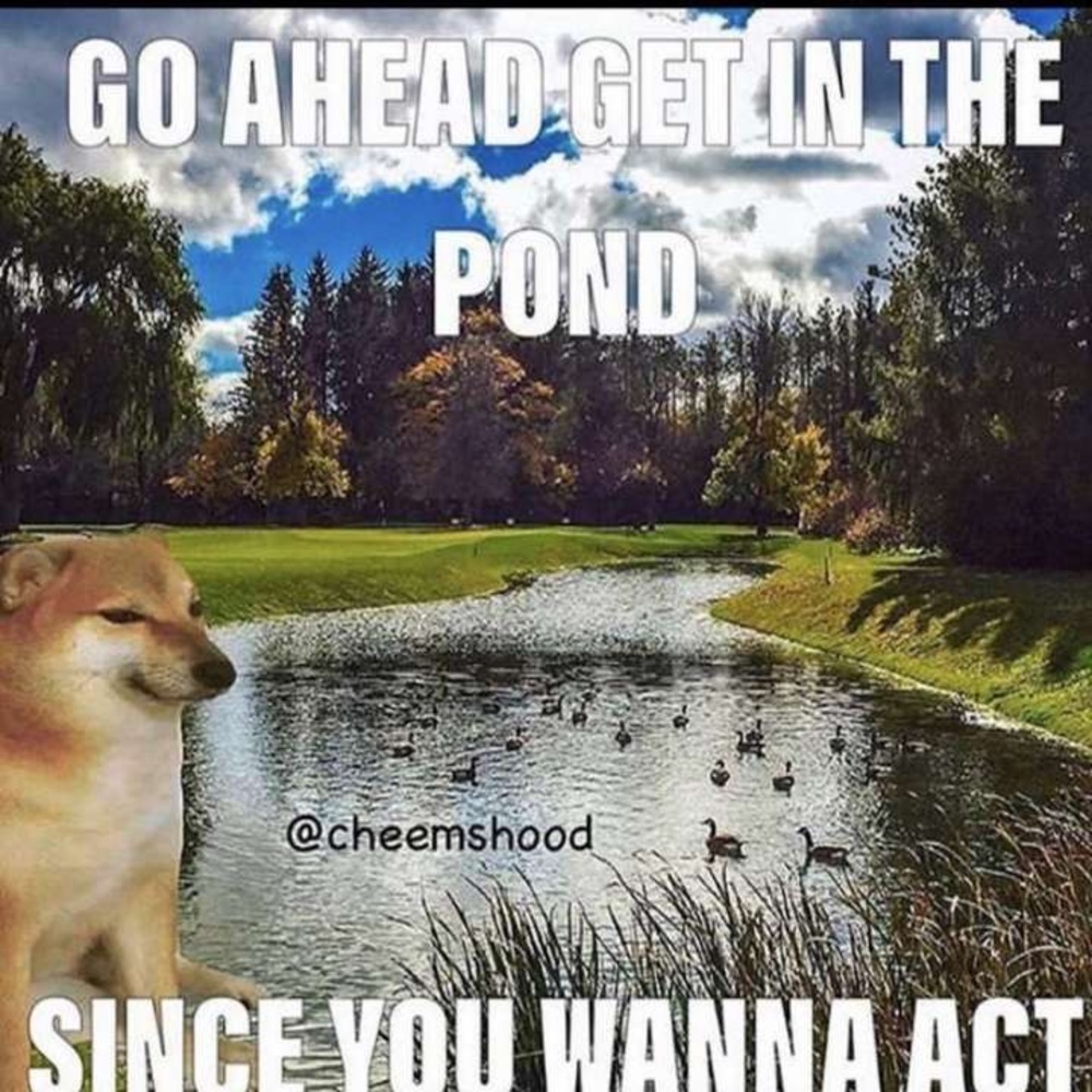 Meet your Posher, Kyle